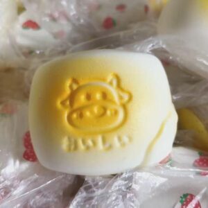 Handmade Super Soft Milk Sandwich Squishy | Slow Rebound Stress Relief | Food Simulation Pinch Toy |
